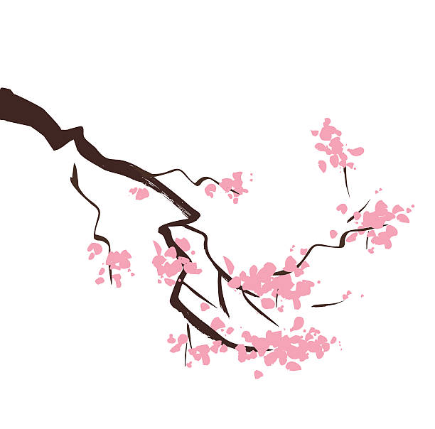 연두빛 꽃송이 벚나무 지점 - japanese culture single flower flower east stock illustrations