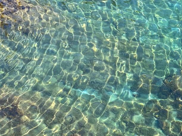 istock Beautiful sea water clear surface with algae and stones at the seabed. 1753778079