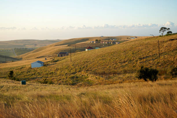 Traditional eastern cape landscape, South Africa