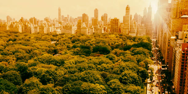 Central Park in a Sunny Autumn Day.