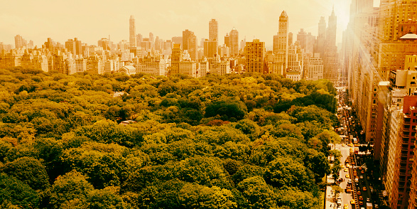 Central Park Midtown Manhattan NYC. Aerial View. Toned Image.