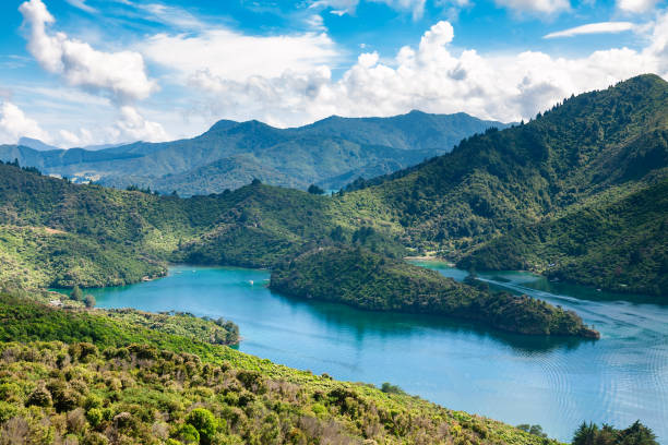 queen charlotte sound, marlborough region, 남섬, 뉴질랜드 - marlborough region zealand new landscape 뉴스 사진 이미지