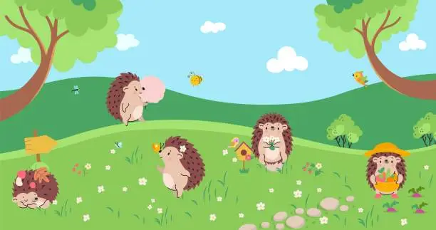 Vector illustration of Cartoon hedgehogs on forest meadow. Cute hedgehog eat, gardening, sleep and hold chamomile flowers. Wild animals children vector illustration