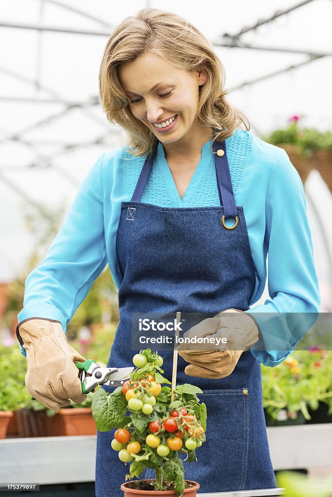 Femmes Tailler en pot de tomate cerise - Photo de Adulte libre de droits