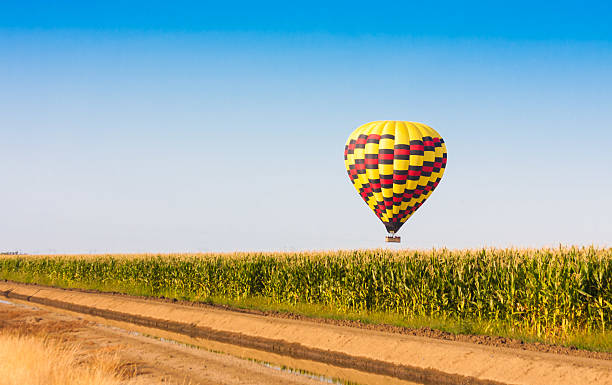 istock Hot air balloon flying over corn fields against blue sky 175380275
