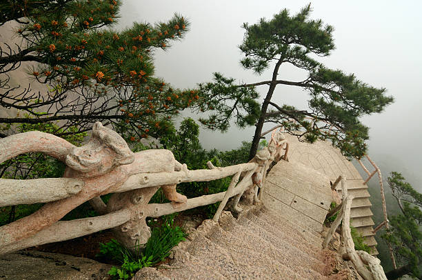 Stone stairs with handrail in the form of monkey "Stone stairs with handrail in the form of monkey. China, Anhui province, Huangshan mountains (Yellow Mountains), West Sea Canyon" huangshan mountains stock pictures, royalty-free photos & images