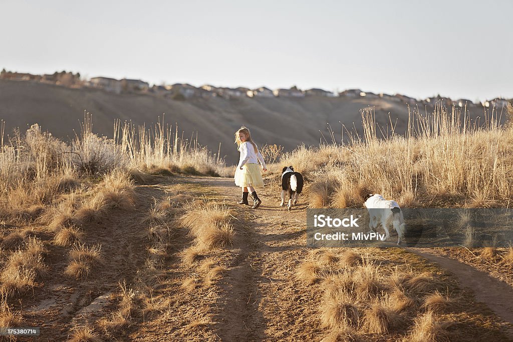 Kleines Mädchen geht mit zwei Hunden - Lizenzfrei 6-7 Jahre Stock-Foto