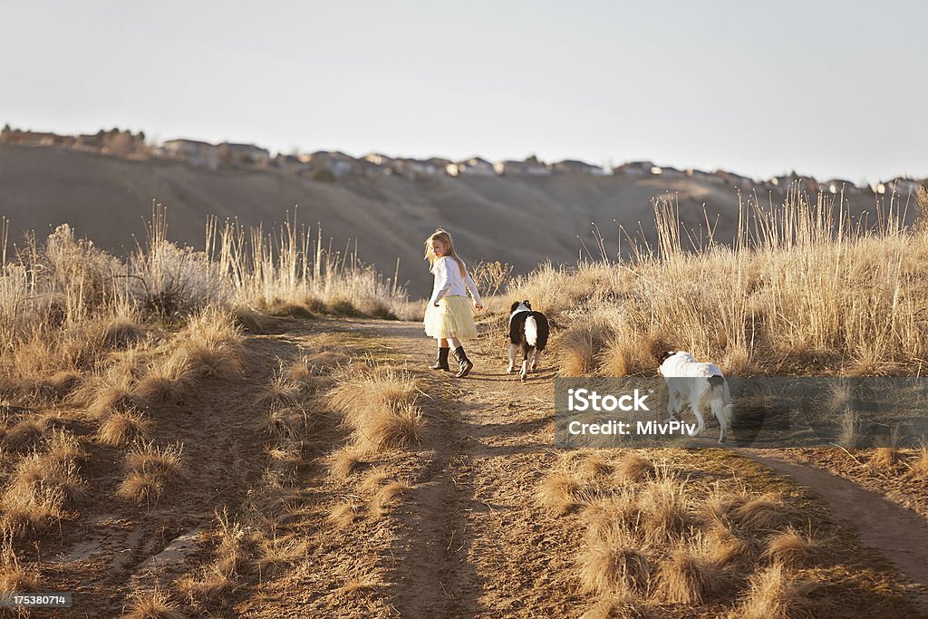 Dziewczynka chodzić z dwoma psami - Zbiór zdjęć royalty-free (6-7 lat)