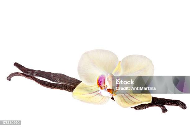 Vanilla Pods And Orchid Flowers Isolated On White Stock Photo - Download Image Now - Flower, Vanilla, Cut Out