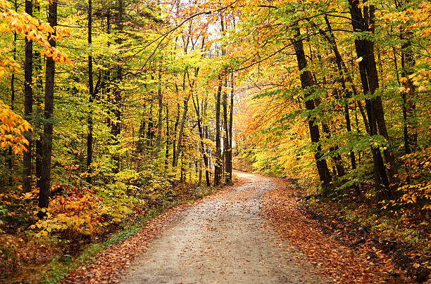 istock Autumn Road in New Hampshire 175381131