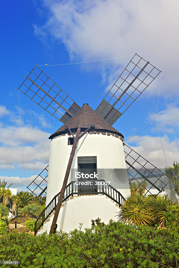 spanish windmill "traditional old spanish windmill between flowers and cactus on canary islands, spain." Agriculture Stock Photo