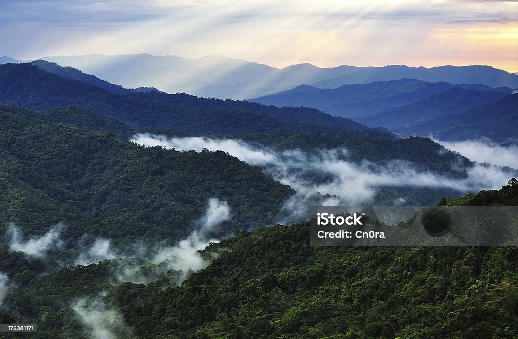 Rays over Borneo rainforest Sunset rays over rainforest in Borneo, sabah Malaysia Beauty In Nature Stock Photo