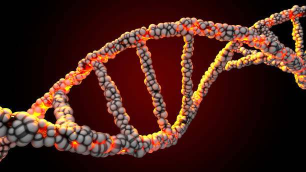 istock DNA double helix On the dark background abstract. can be used in education, science or cosmetics industry background. Conceptual design of Science and genetics information. Element and Clipping path. 1753812349