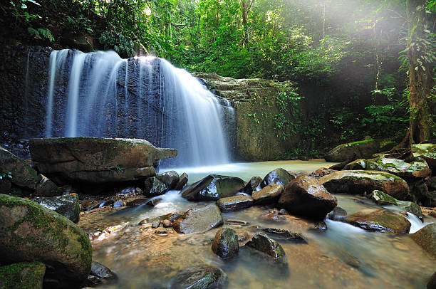 istock Waterfall in the jungle with early morning rays 175381314