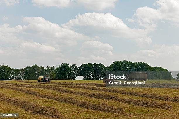 Photo libre de droit de Les Fermiers Travail banque d'images et plus d'images libres de droit de Agriculture - Agriculture, Ciel, Conduire