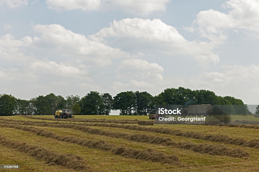 Os agricultores trabalho - Royalty-free Agricultura Foto de stock