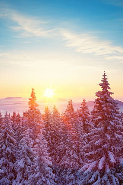 겨울맞이 썬라이즈 - sunrise mountain winter arctic 뉴스 사진 이미지