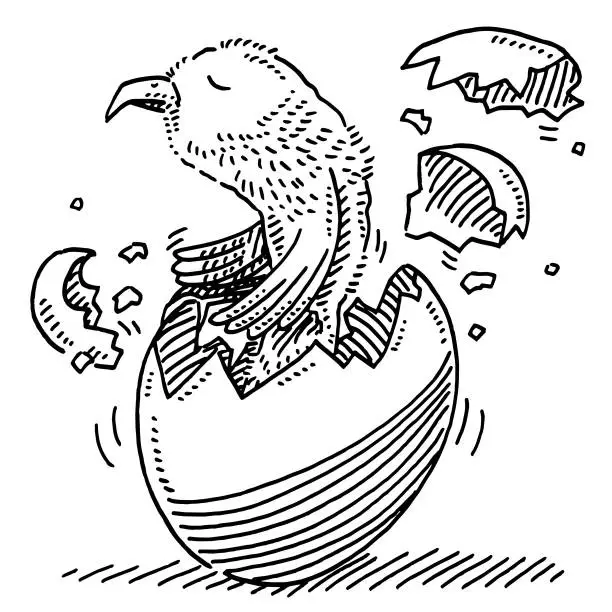 Vector illustration of Hatching Bird From Egg Drawing