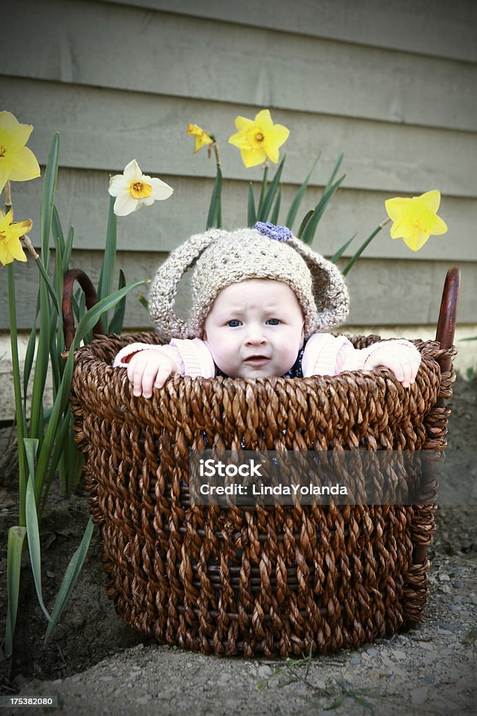 Baby in a Basket "A baby girl, wearing knit bunny ears, sits in a basket in a garden of daffodils." 6-11 Months Stock Photo