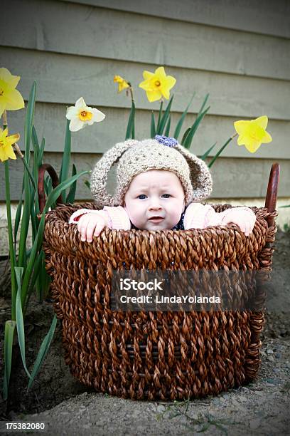 Baby In A Basket Stock Photo - Download Image Now - 6-11 Months, Babies Only, Baby - Human Age