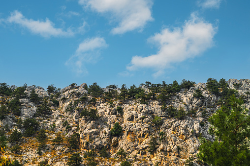 Rocky hill with trees on a sunny day