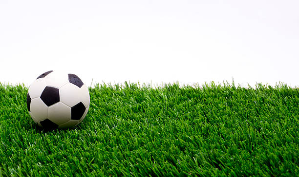 Soccer Ball on Grass stock photo