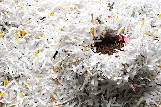 istock Empty bird's nest made with garbage on shredded paper 175384046