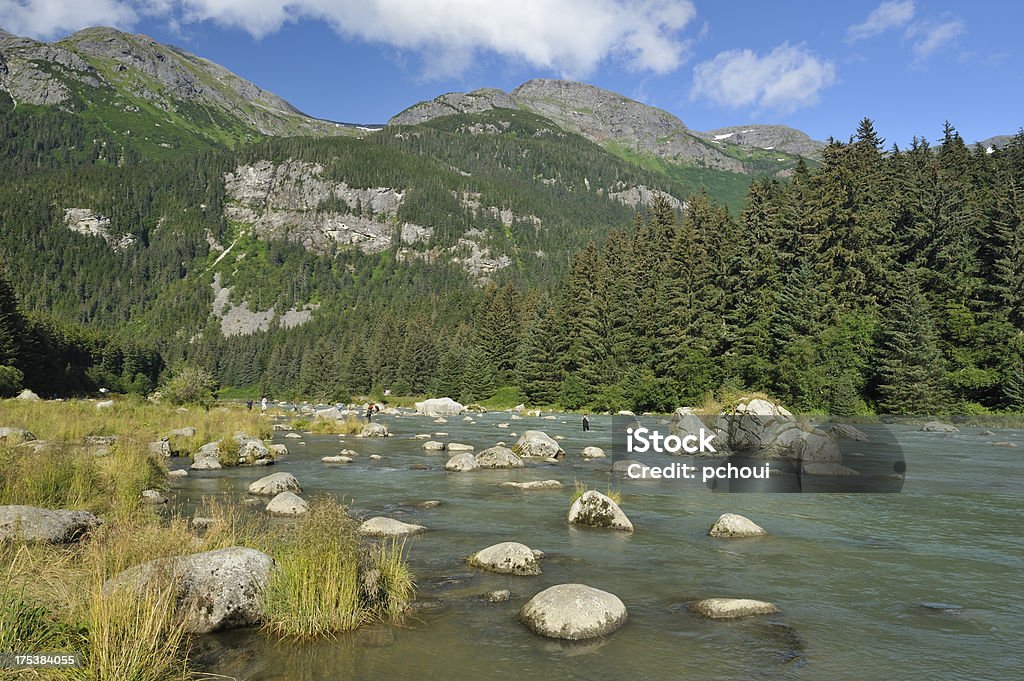 Chilkoot río, Alaska - Foto de stock de Salmón Chinook libre de derechos