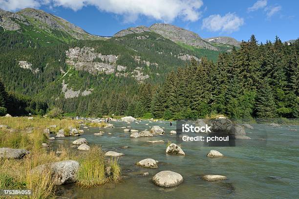 Chilkoot 川アラスカ - キングサーモンのストックフォトや画像を多数ご用意 - キングサーモン, Chilkoot River, へインズ