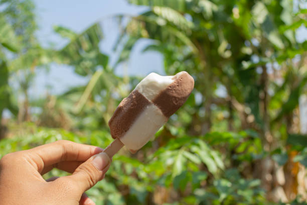istock Take a bite of milk chocolate ice cream 1753843887