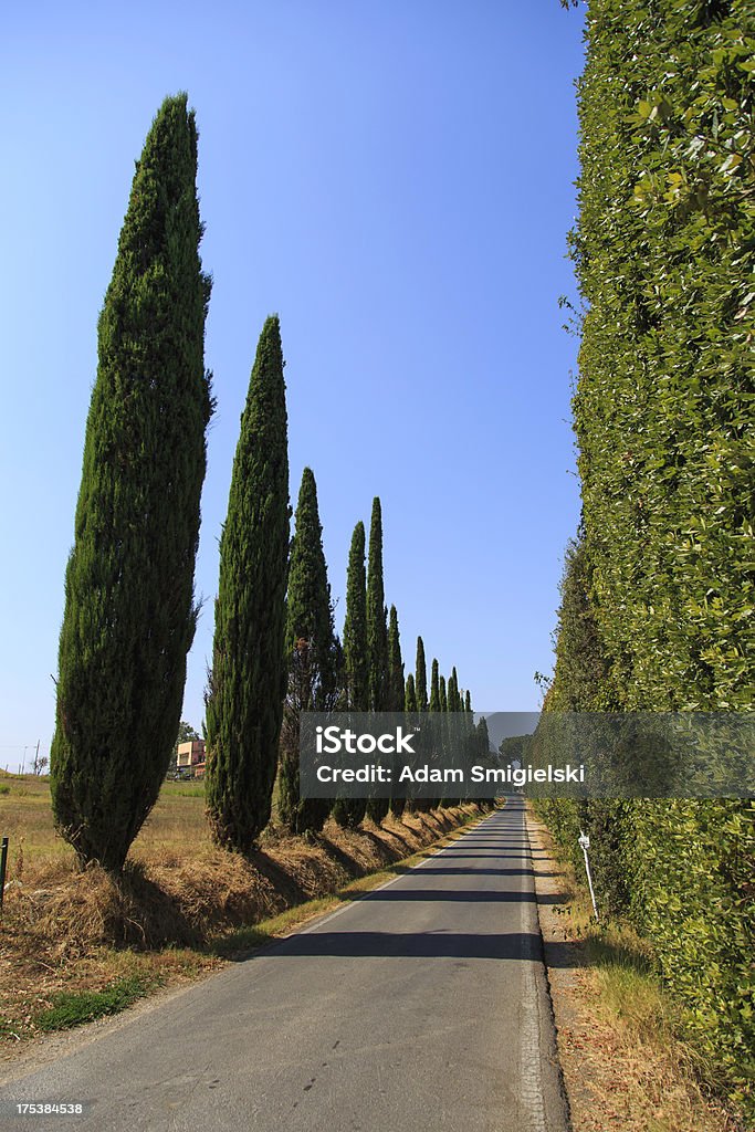 Toscana - Royalty-free Agricultura Foto de stock