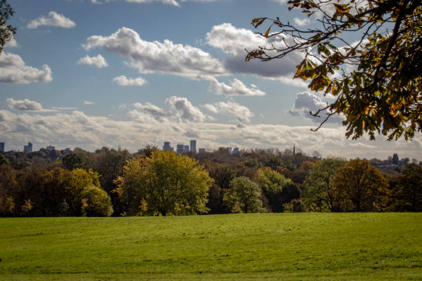 istock Autumn Tree Line in Heaton Park 1753849452