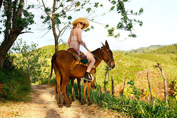 Woman Riding a Mule stock photo