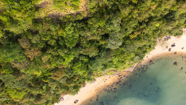 istock Ariel view of cliff with beach 1753850427