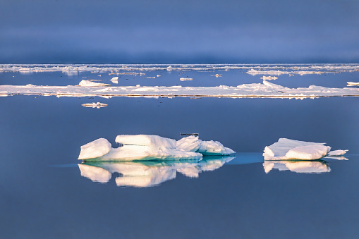 Ice floes on a calm arctic sea