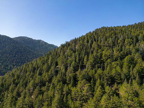 Mountain ranges covered with trees.Outdoor nature landscape drone shooting.
