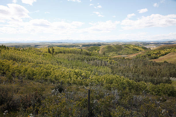 istock Alberta Foothills And Mountain Landscape 175385729