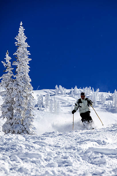 istock Man Skier in Action in Powder Snow With Clear Sky 175385740