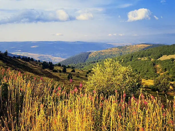 view over the the cevennes mountains national park lozere languedoc-roussillon south of france europe