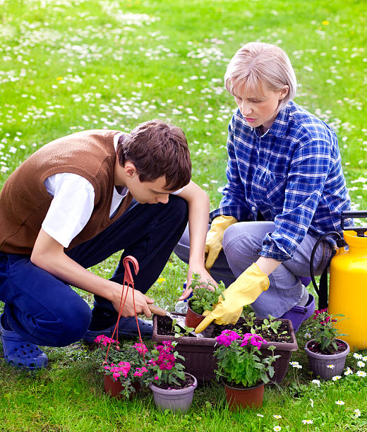 istock Mother and son planting flowers 175386288