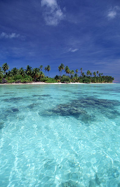 istock Maldives, Suvadiva atoll, tropical island. 175386664