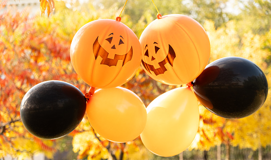 Halloween pumpkin balloons, orange and black in autumn park