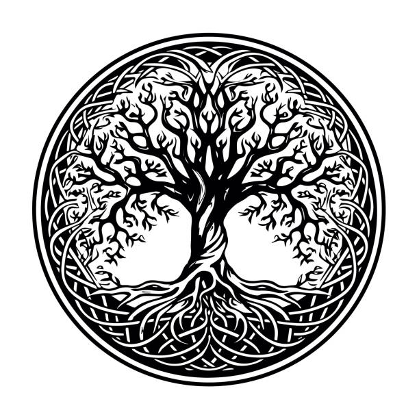 ilustraciones, imágenes clip art, dibujos animados e iconos de stock de árbol celta de la vida decorativo ornamento vectorial, boceto del tatuaje. ilustración vectorial grunge de los mitos escandinavos con la cultura celta. - yggdrasil