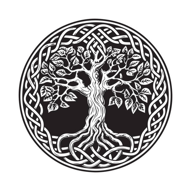 ilustraciones, imágenes clip art, dibujos animados e iconos de stock de árbol celta de la vida decorativo ornamento vectorial, boceto del tatuaje. ilustración vectorial grunge de los mitos escandinavos con la cultura celta. - yggdrasil