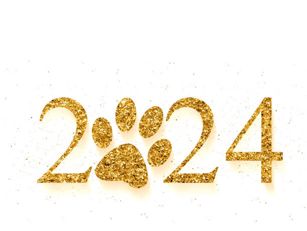単語2024と金色のキラキラ文字の足 ストックフォト