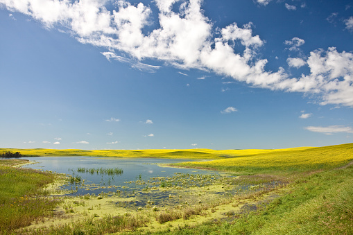 Prairie Marsh photo