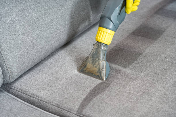 istock Sofa chemical cleaning with professionally extraction method. Wet textile sofa cleaning 1753876362