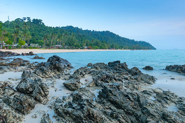 istock Beautiful tropical beach and pine trees against the blue sky. 175387652