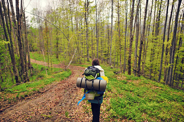 istock Hiking in the mountains 175387656