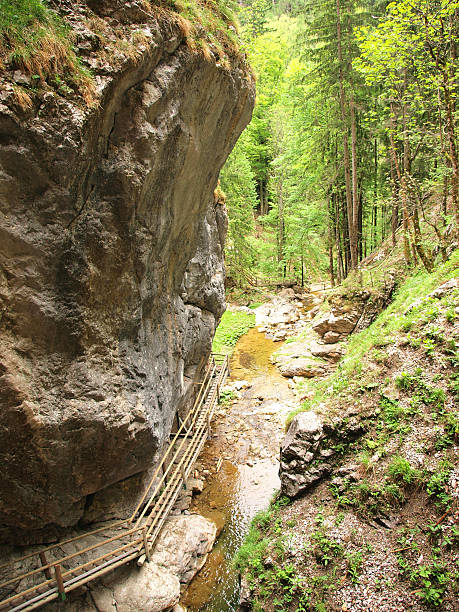 barenshutzklamm ущелье - ravine canyon stream sparse стоковые фото и изображения